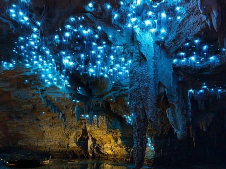 Imagem caverna-nova-zelandia